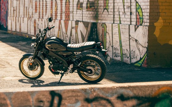 Neufahrzeug Yamaha XSR125 Legacy - Bild 8 Neufahrzeug Yamaha XSR125 Legacy - Bild 8