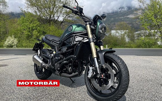Neufahrzeug Benelli Leoncino 800 - Bild 1