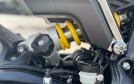 Neufahrzeug Benelli Leoncino 800 - Bild 12