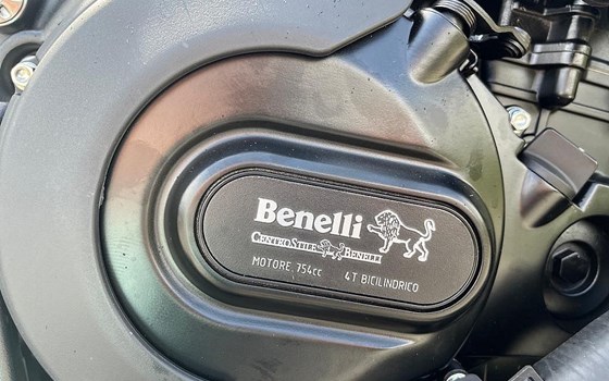 Neufahrzeug Benelli Leoncino 800 - Bild 13 Neufahrzeug Benelli Leoncino 800 - Bild 13