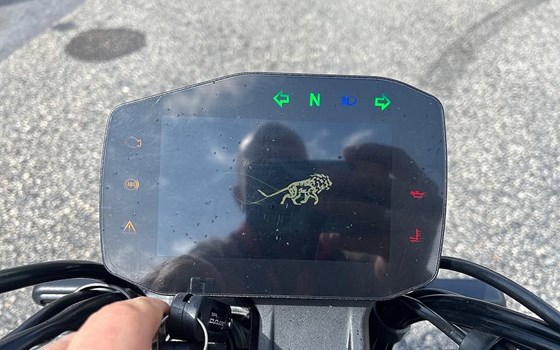 Neufahrzeug Benelli Leoncino 800 - Bild 14 Neufahrzeug Benelli Leoncino 800 - Bild 14