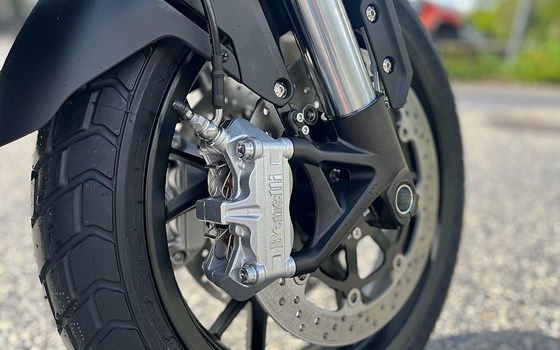 Neufahrzeug Benelli Leoncino 800 - Bild 15