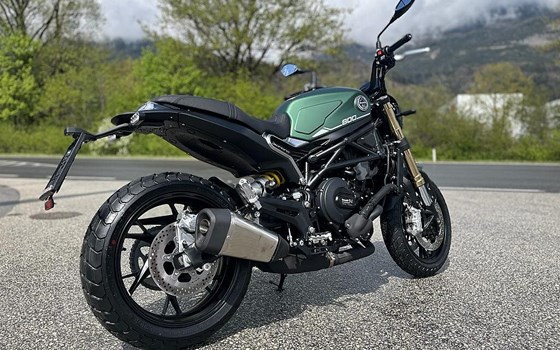 Neufahrzeug Benelli Leoncino 800 - Bild 2 Neufahrzeug Benelli Leoncino 800 - Bild 2