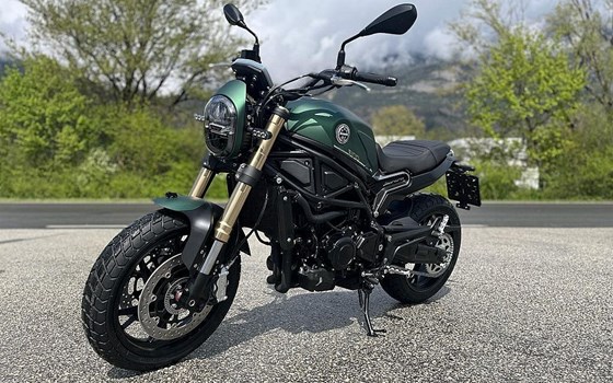 Neufahrzeug Benelli Leoncino 800 - Bild 3 Neufahrzeug Benelli Leoncino 800 - Bild 3