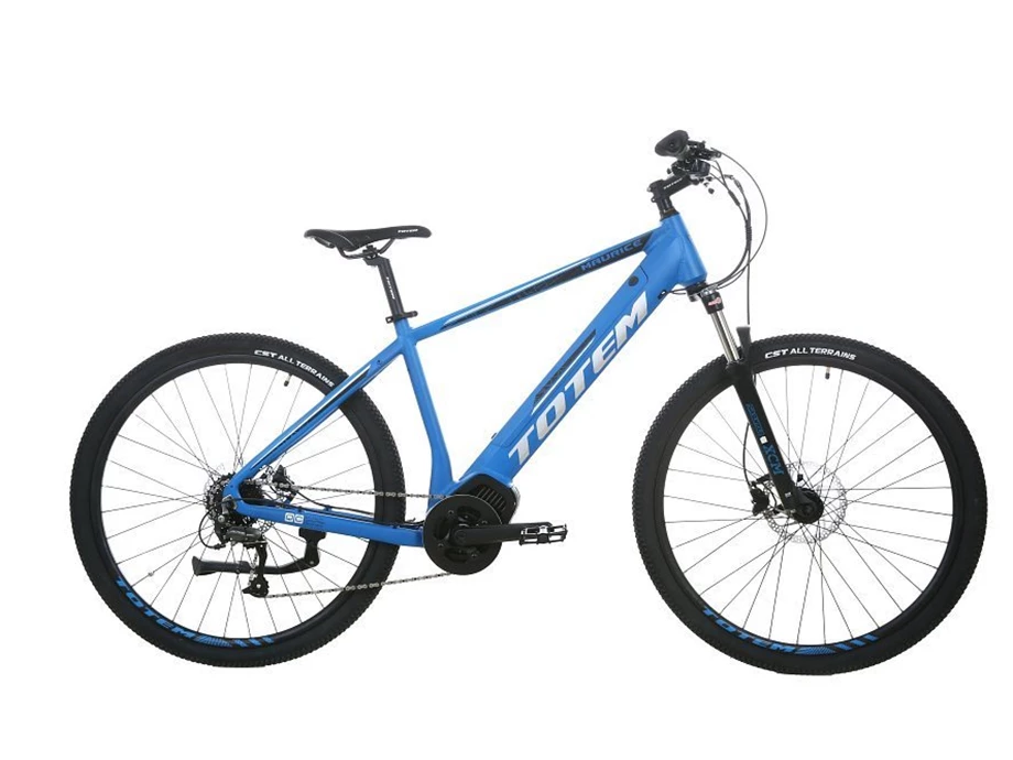 Offer Totem E-Bikes Maurice Bild 1: Offer Totem E-Bikes Maurice