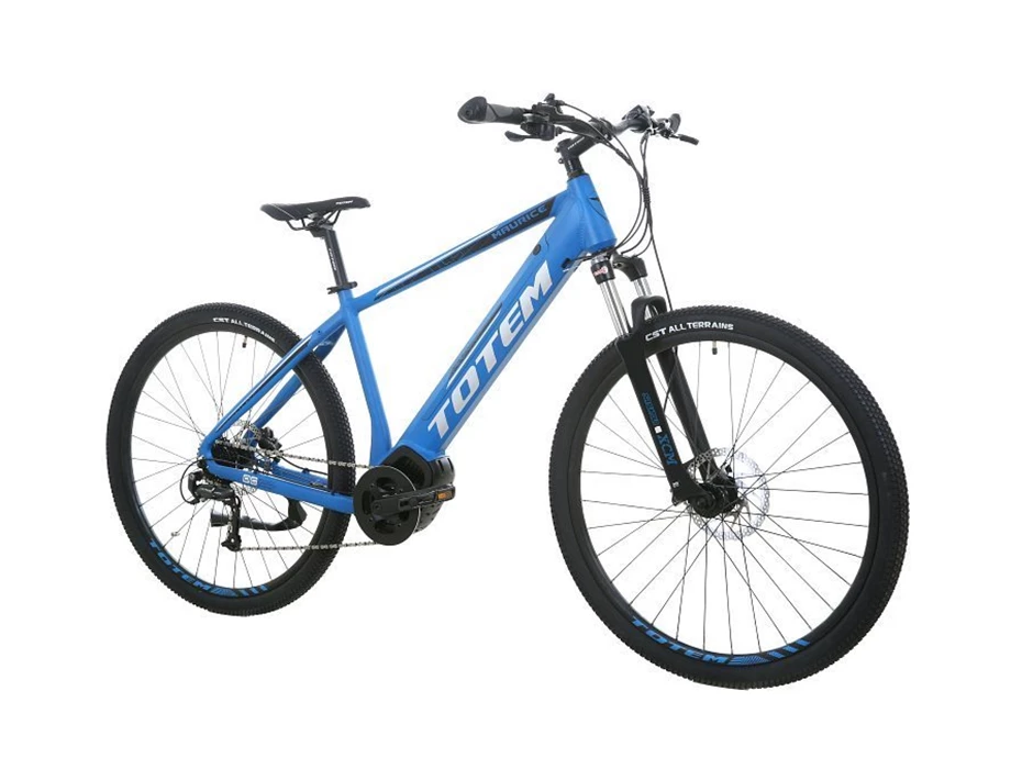 Offer Totem E-Bikes Maurice Bild 2: Offer Totem E-Bikes Maurice