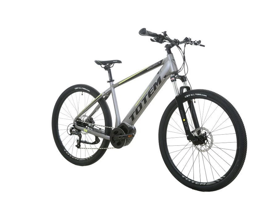 Offer Totem E-Bikes Maurice Bild 7: Offer Totem E-Bikes Maurice