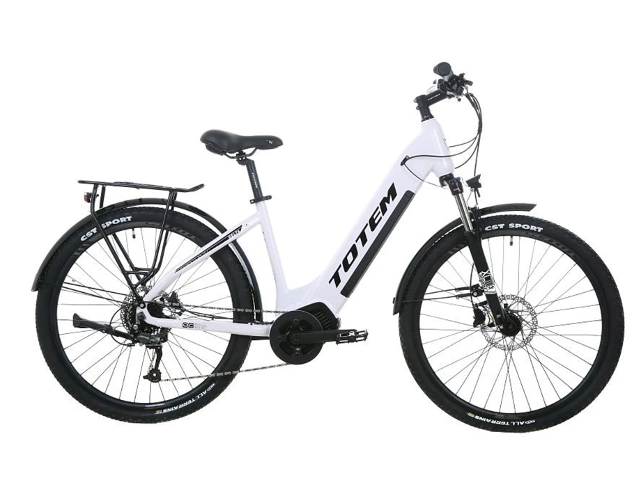 Angebot Totem E-Bikes Delta Bild 1: Angebot Totem E-Bikes Delta