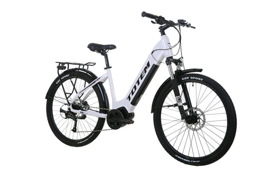 Neufahrzeug Totem E-Bikes Delta - Bild 2