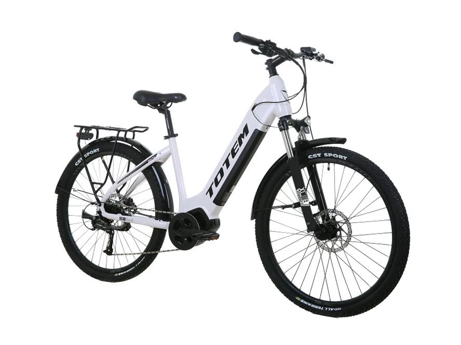 Angebot Totem E-Bikes Delta Bild 2: Angebot Totem E-Bikes Delta