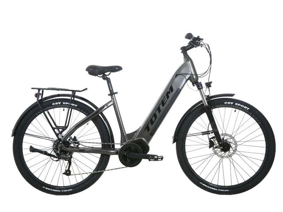 Angebot Totem E-Bikes Delta Bild 6: Angebot Totem E-Bikes Delta