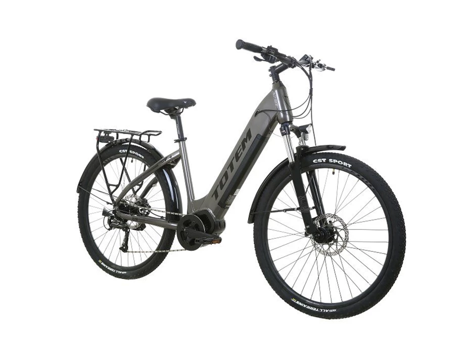 Angebot Totem E-Bikes Delta Bild 7: Angebot Totem E-Bikes Delta