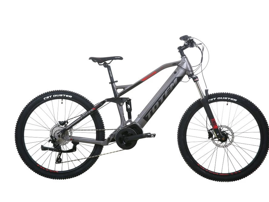 Angebot Totem E-Bikes Carry Bild 1: Angebot Totem E-Bikes Carry