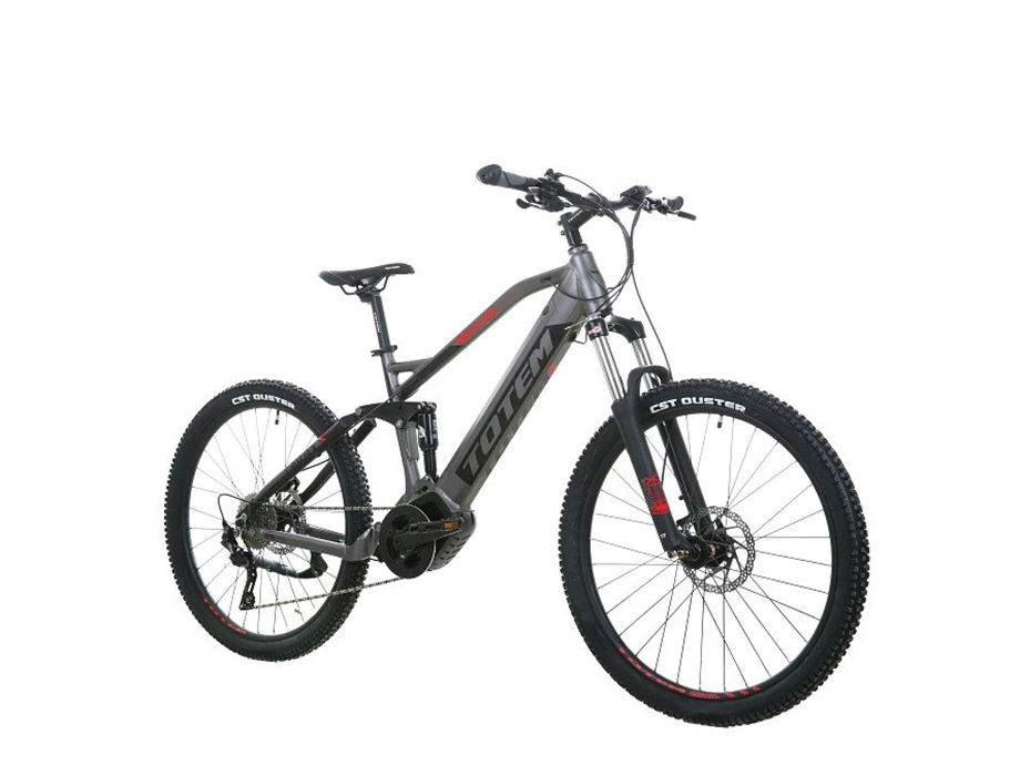 Angebot Totem E-Bikes Carry Bild 2: Angebot Totem E-Bikes Carry