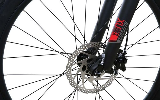 Neufahrzeug Totem E-Bikes Carry - Bild 5