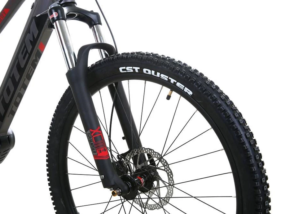 Angebot Totem E-Bikes Carry Bild 6: Angebot Totem E-Bikes Carry