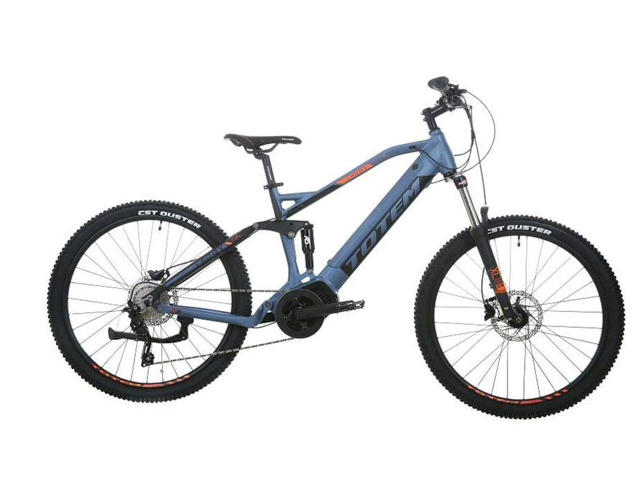 Angebot Totem E-Bikes Carry Bild 8: Angebot Totem E-Bikes Carry