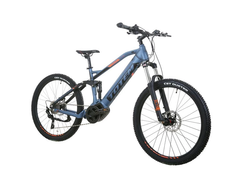 Angebot Totem E-Bikes Carry Bild 9: Angebot Totem E-Bikes Carry