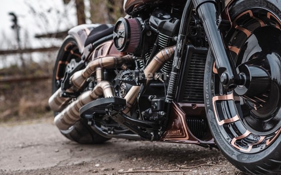 Neufahrzeug Harley-Davidson Softail Fat Boy 114 FLFBS - Bild 11