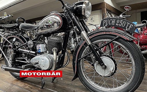 Gebrauchtmotorrad Puch 250 TF - Bild 1 Gebrauchtmotorrad Puch 250 TF - Bild 1