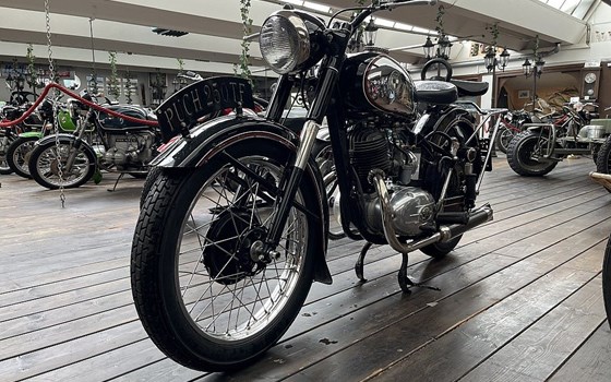 Gebrauchtmotorrad Puch 250 TF - Bild 3