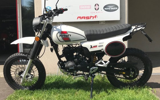 Neufahrzeug Mash X-Ride 50 - Bild 2