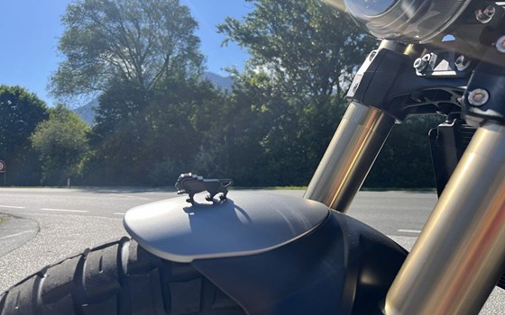 Neufahrzeug Benelli Leoncino 800 Trail - Bild 6