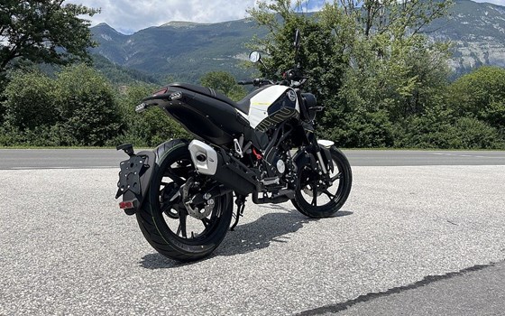 Neufahrzeug Benelli Leoncino 125 - Bild 2