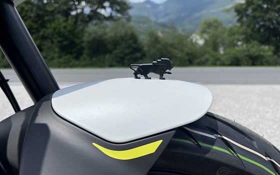 Neufahrzeug Benelli Leoncino 125 - Bild 4