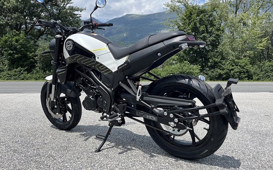 Neufahrzeug Benelli Leoncino 125 - Bild 5