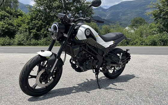 Neufahrzeug Benelli Leoncino 125 - Bild 6 Neufahrzeug Benelli Leoncino 125 - Bild 6