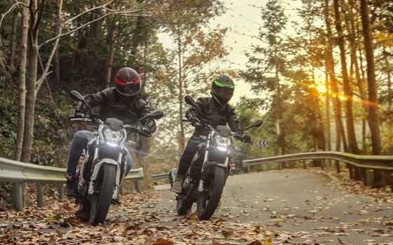 Neufahrzeug Benelli BN 125 - Bild 3