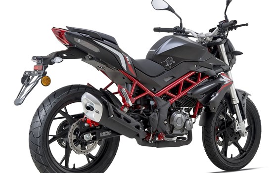 Neufahrzeug Benelli BN 125 - Bild 2