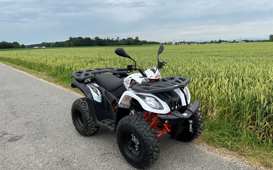 Neufahrzeug Kayo AU 200 - Bild 2 Neufahrzeug Kayo AU 200 - Bild 2