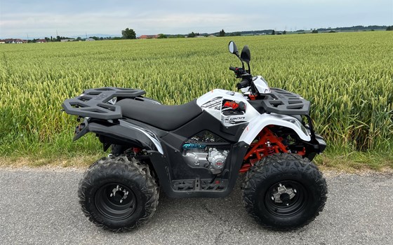 Neufahrzeug Kayo AU 200 - Bild 3 Neufahrzeug Kayo AU 200 - Bild 3