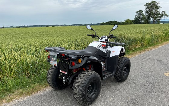 Neufahrzeug Kayo AU 200 - Bild 4 Neufahrzeug Kayo AU 200 - Bild 4