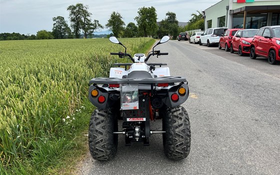 Neufahrzeug Kayo AU 200 - Bild 5 Neufahrzeug Kayo AU 200 - Bild 5