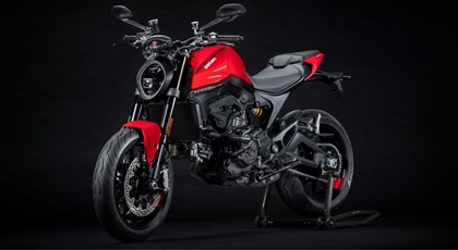 Neumotorrad Ducati Monster