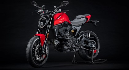 Neumotorrad Ducati Monster +