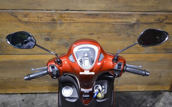 Neufahrzeug Yamaha D'elight - Bild 3