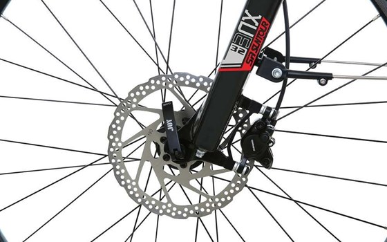 Neufahrzeug Totem E-Bikes Mythos - Bild 5