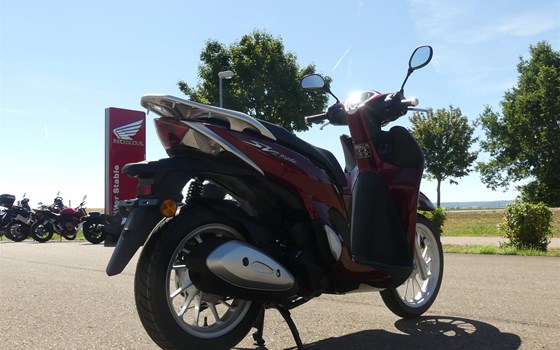 Gebrauchtmotorrad Honda SH Mode 125 - Bild 8