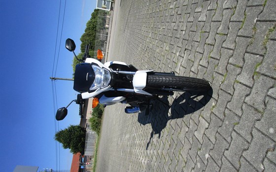Neufahrzeug Honda CB 125 - Bild 5