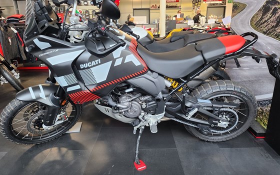 Neufahrzeug Ducati DesertX - Bild 1