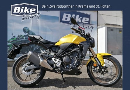 Honda CB300R (Pearl Dusk Yellow)