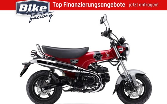 Neufahrzeug Honda Dax 125 - Bild 6 Neufahrzeug Honda Dax 125 - Bild 6