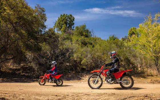 Neufahrzeug Honda CRF 50 F - Bild 4