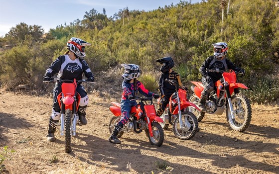 Neufahrzeug Honda CRF 50 F - Bild 6