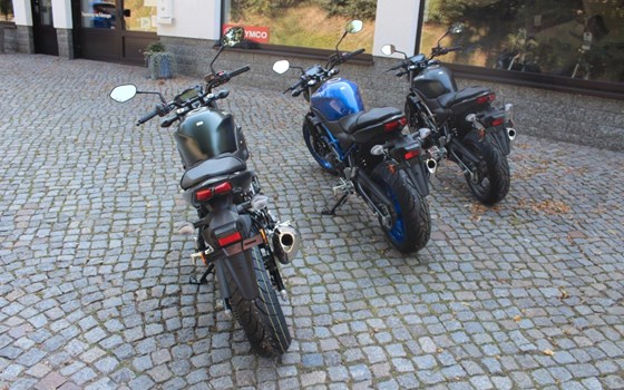 Neufahrzeug Suzuki SV650 - Bild 4