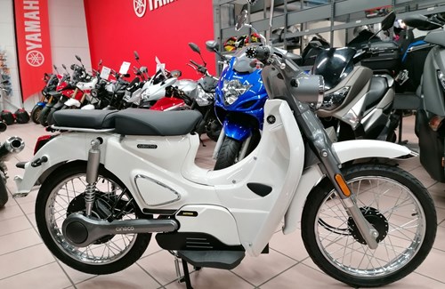 Neumotorrad KSR Moto Cracker 50